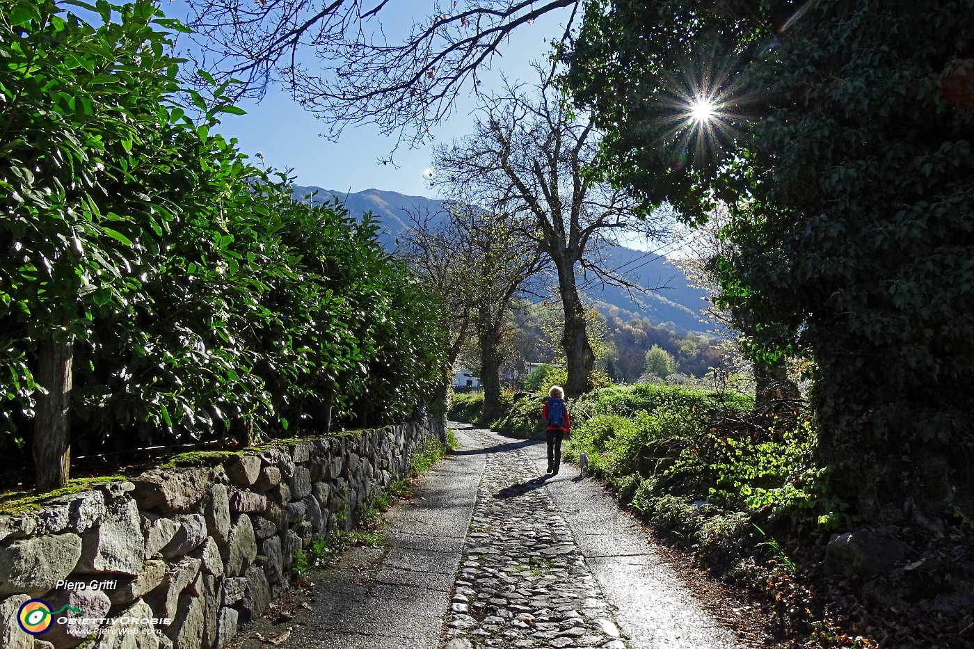 15 Sul sentiero strada agrosilvopastorale F. Benedetti.JPG -                                